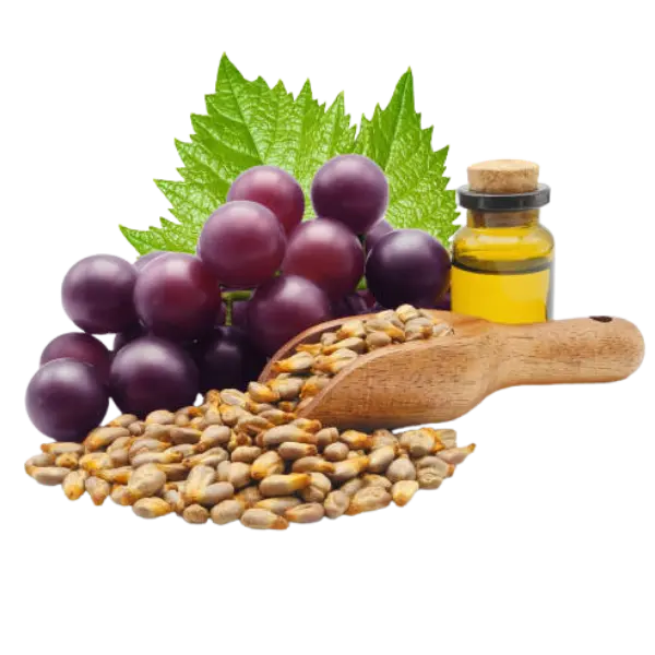 Grape Seed - Natural ingredient